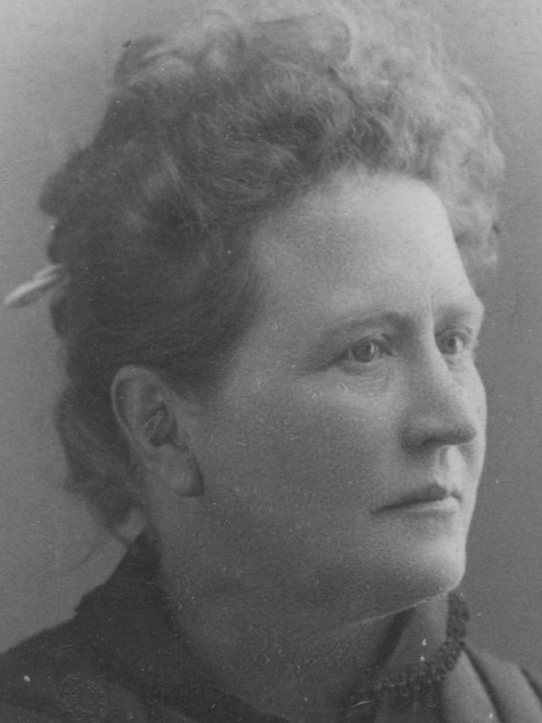 Alice Jerome Ray (1852 - 1923) Profile